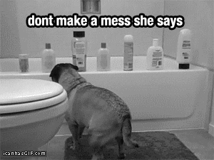 funny-gif-dog-shampoo-bathtub.gif